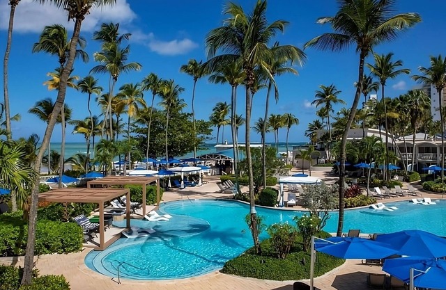 Your Room Steps Away from Sandy Beaches | Relaxing Room w/Garden View