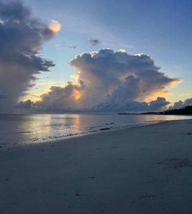 Zanzibar in Dar! A newly renovated 3br villa