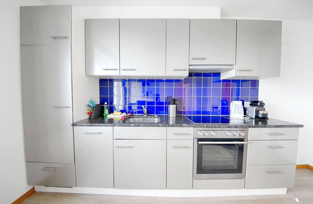 ZH Chestnut - Letzigrund HITrental Apartment