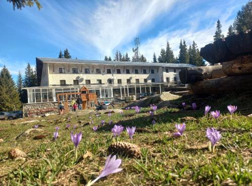 Zvezditsa Chalet