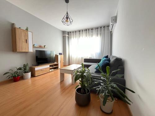 Daimiel Apartment | Top-Rated Ánade Real Guest House with Pool Access