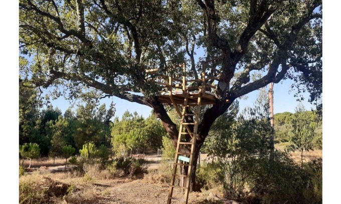 Vale de Mulheres House | Cozy Árvore dos Sonhos Tree House with Spa & Breakfast