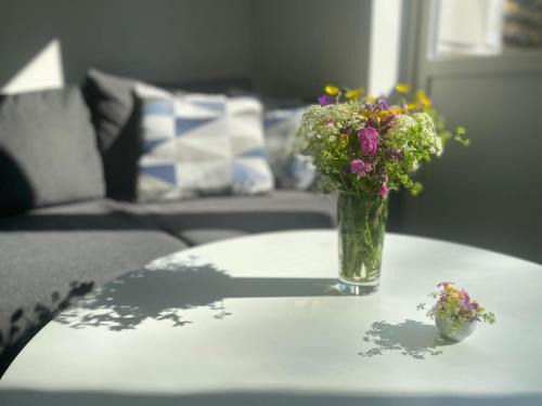 Are Apartment | Top-Rated Åreskutan Apartment with EV Charging & Breakfast