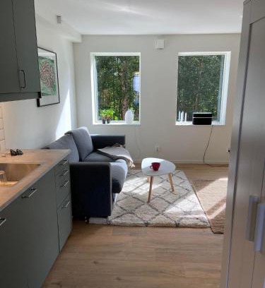 Are Apartment | Family-Friendly Åreskutans Mountain Lodge in Huså