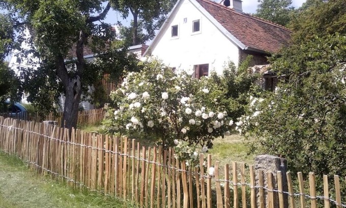 Dacice Apartment | Cozy Cottage with Charming Garden - Guest Rated 9.3/10