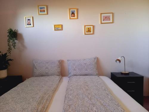 Akureyri Apartment | Experience Þòrsmörk Farm: 12 Min from Akureyri, Pet-Friendly