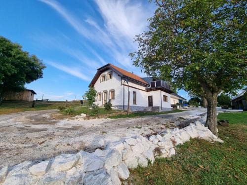 Cestin House | Experience Čenovický dvůr: Oceanfront Retreat with Pool