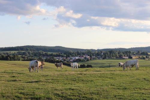 Lesna House | Family-Friendly Escape at Čtyři pokoje – Rated 9.4/10