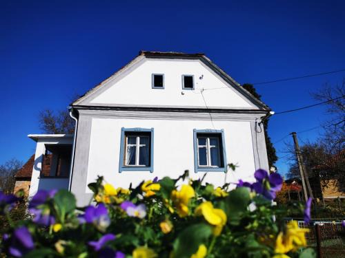 Hegyhatszentjakab Apartment | Discover Őrség Kincse Udvarház: Pet-Friendly Comfort