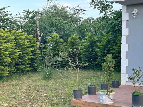 Trabzon Villa | Convenient Villa 8 km from City Center, Family & Pet Friendly