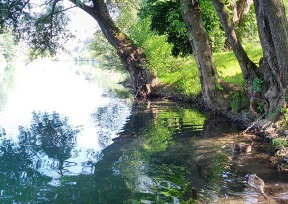 Mali Radic Apartment | Pet-Friendly Šadrvan Una Apartment with Ocean View