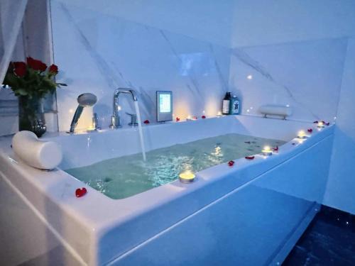 Kaunas Apartment | Top-Rated Ž Šančių Apartments with Inviting Hot Tub