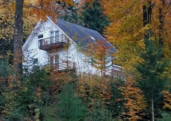 Sucevita Resort | Discover Nature at Șoaptele pădurii & Căsuța din pădure