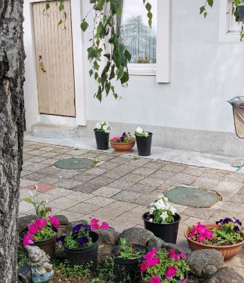 Kurortny District Apartment | Cozy Apartments in Pesochnoe with 8/10 Guest Rating