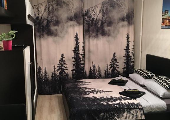 Zvezdnoe Apartment | Pet-Friendly Comfort at Апартаменты "ДоМиНо" - 10/10 Rated