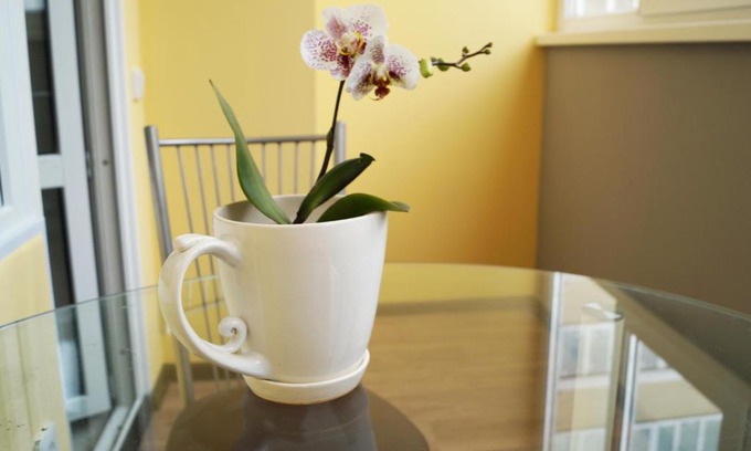Ryazan Apartment | Guest Rated: 10/10 at ЧАЙКА ART Two-Bedroom Apartments