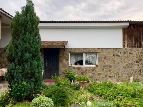 Svalyava Apartment | Family-Friendly PAROSTKI Apartments Near Top Attractions