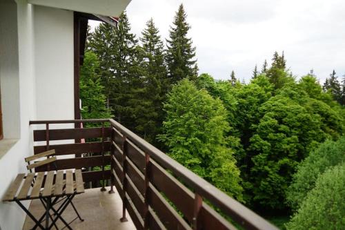 Pamporovo Apartment | Апартамент за гости в Пампорово