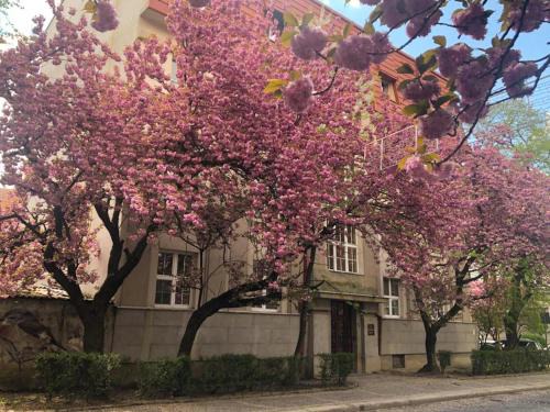 Uzhhorod Apartment | Premium Apartments in Historic Center "ГАЛАГОВЪ" - Rated 9/10