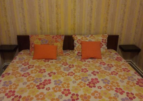 Krasnodar Apartment | Convenient Apartments Near Train Station - Pet Friendly Stay