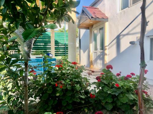 Baku Apartment | Oceanfront Retreat in Buzovna: Guest Rated 9.6/10
