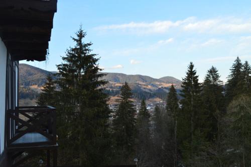 Snidavka Apartment | Discover Біла хата: Top-Rated Family Retreat with Hot Tub