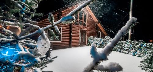 Plavya House | Experience Галерея Карпат: 10/10 Family Retreat with Hot Tub