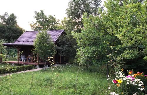 Roztoky House | Experience Галіція: Family-Friendly with 9.9/10 Rating