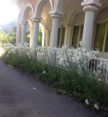 Armenia House | Pet-Friendly Debed: A Delight for Families and Travelers