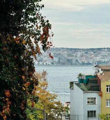 Kabatas Apartment | Duplex with Bosphorus View - 4-Star Family & Pet Friendly
