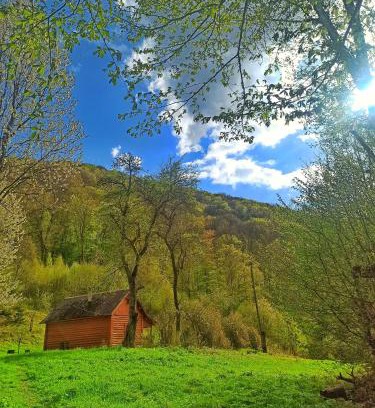 Transcarpathia House | Eco Haven Under the Mountains: 9.5/10 Guest Rated Stay