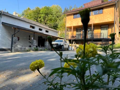 Snidavka House | Discover Заграйка: Family and Pet-Friendly Getaway