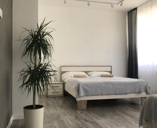 Ternopil Apartment | Cozy Family Apartments in a Modern Building with High Ratings