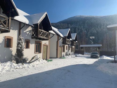 Mykulychyn Apartment | Welcoming Карпатський Готель Олександрія: Rated 9.1/10