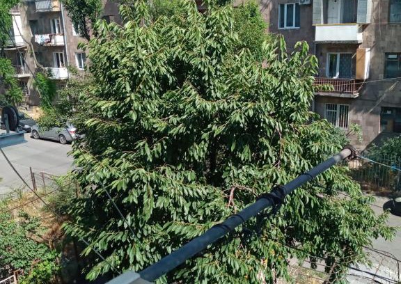 Arabkir Apartment | Family-Friendly Retreat with Perfect 10/10 Guest Rating