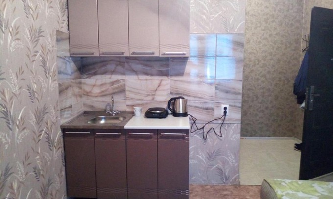 Orenburg Apartment | Cozy Studio Apartment on Polyanychko Street with Accessibility