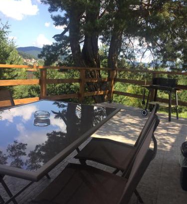 Tsigov Chark House | Discover Комплекс Кали: Pet-Friendly Retreat with Pool