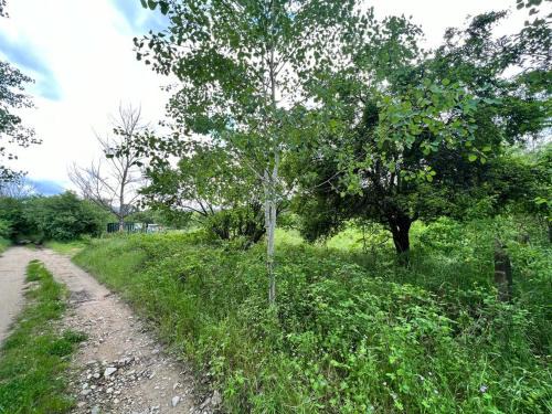 Kazanlak Other | Pet-Friendly Camping at Къмпинг Частен Двор - Rated 10/10!