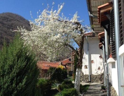 Simitli House | Pet-Friendly Getaway at Къща за гости Спасителна