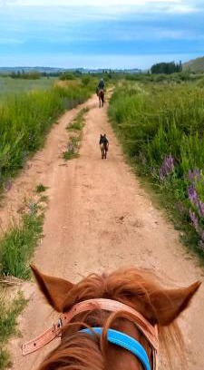Bosteri Other | Family-Friendly Getaway at Кызыл Жар Кемпинг