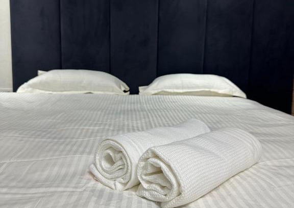 Shymkent Hotel | Villa Sofia: Pet-Friendly Stay in Shymkent with High Ratings