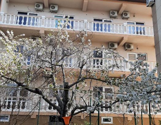 Gelendzhik House | Oceanfront Pet-Friendly Retreat at Морской with Great Reviews