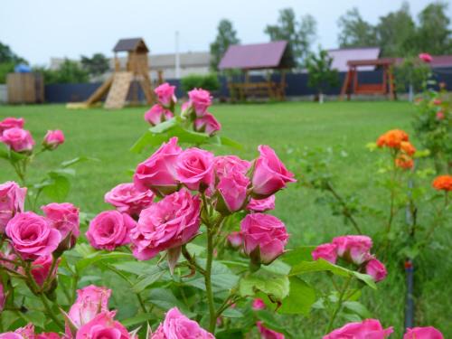 Volyn Oblast Bed & Breakfast | Discover Приватна Садиба "У Оксани" with Ocean View & More