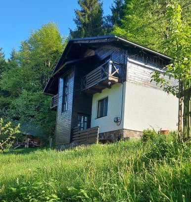 Podobovets Ski Chalet | Pet-Friendly Retreat at Під Боржавою - Guest Rated 9.8