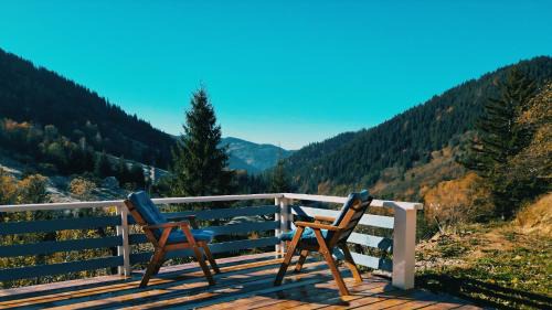 Snidavka Cabin | Eco-Friendly Retreat: Садиба "Ековид" with Family Amenities