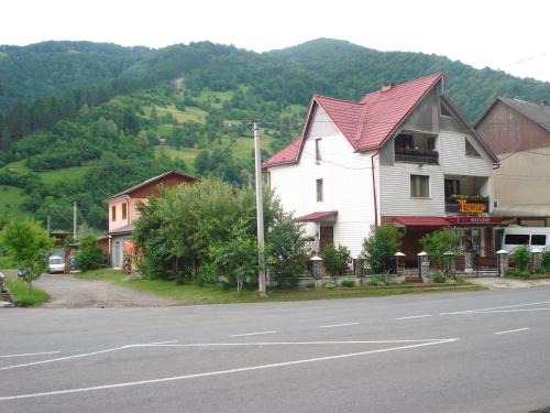 Rakhiv House | Pet-Friendly Тушер: Enjoy Breakfast and Family Comfort