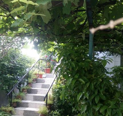 Sinemoretz House | Discover Sveti Nikola: Family-Friendly Stay with High Ratings