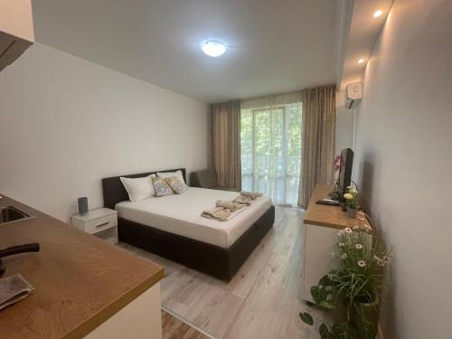 Lozenets Apartment | Beachfront Studio Simona 3 with Ocean View & Pool
