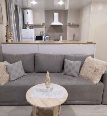 Maliyevtsy Apartment | Cozy Studio on Proskurovskaya 16 - Family Friendly Retreat