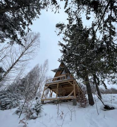 Yaremche House | Pet-Friendly Схованка with Ocean Views and Pool Access